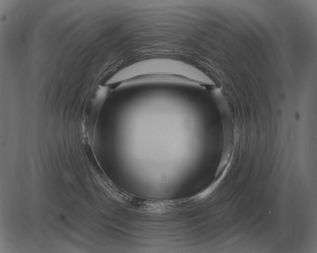 X0000082730190200702091847