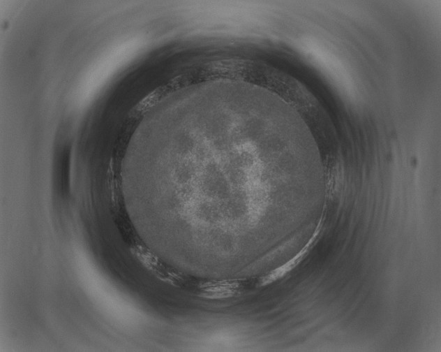 X0000082730191200702091847