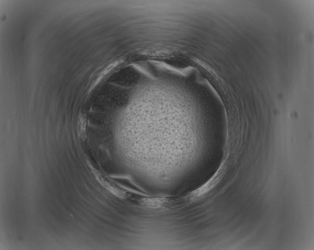 X0000082730192200702091847