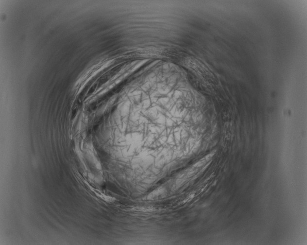 X0000082730194200702091846