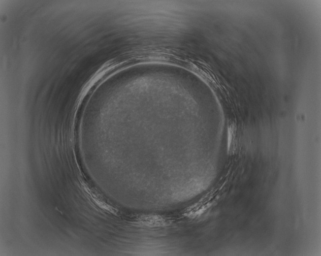 X0000082730195200702091846