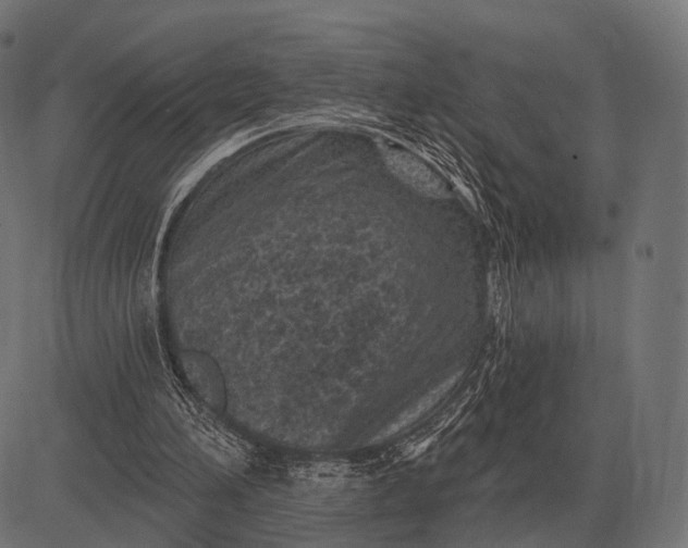 X0000082730196200702091846