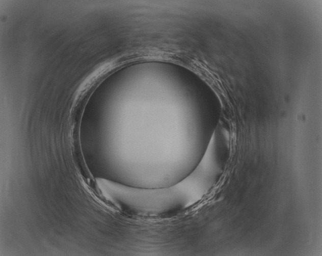 X0000082730197200702091846