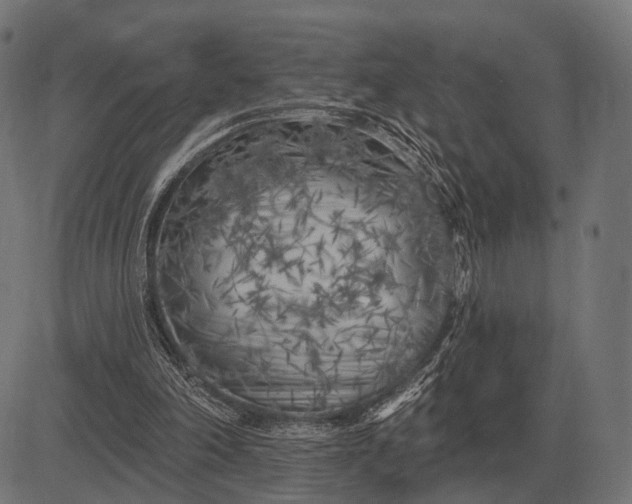 X0000082730198200702091846