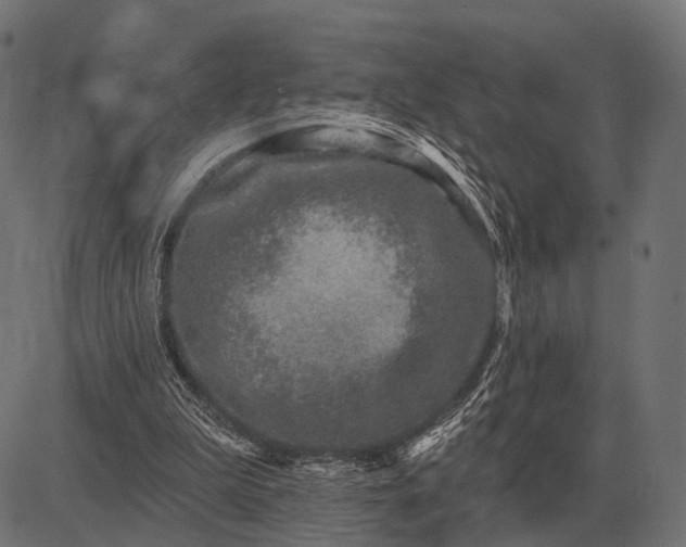 X0000082730199200702091846