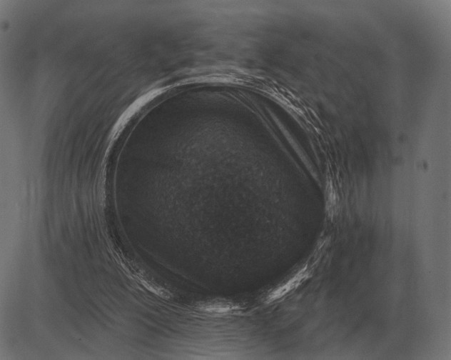 X0000082730200200702091846