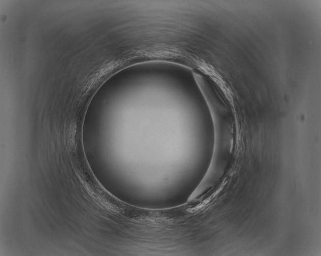 X0000082730201200702091846