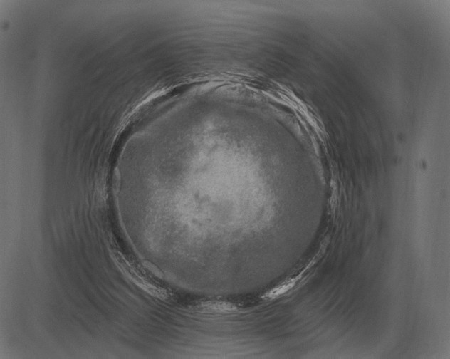 X0000082730203200702091846