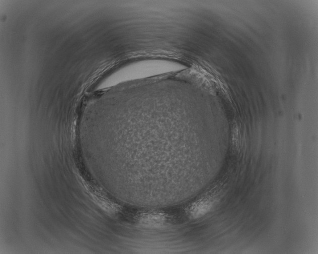 X0000082730206200702091846