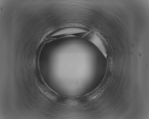 X0000082730207200702091846