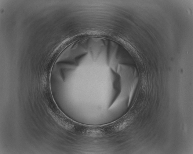 X0000082730208200702091846