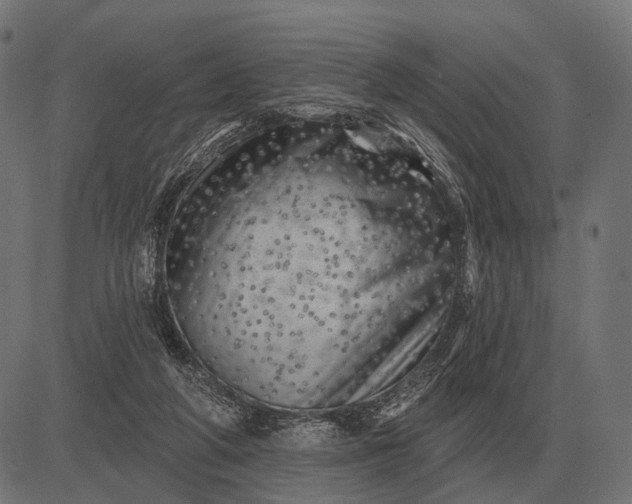 X0000082730210200702091846