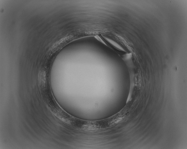 X0000082730211200702091846