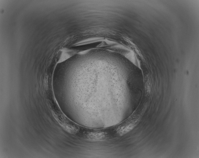 X0000082730213200702091846