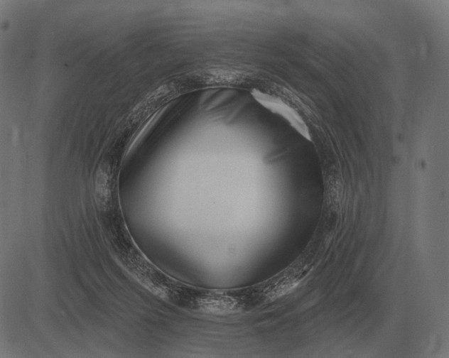 X0000082730215200702091846