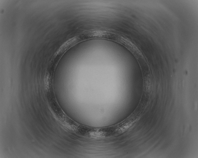 X0000082730216200702091846