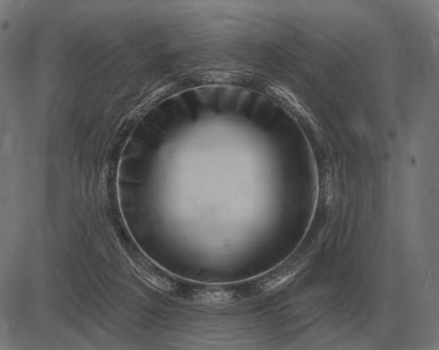 X0000082730217200702091846