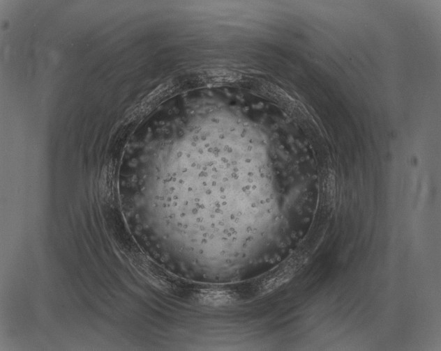 X0000082730218200702091846