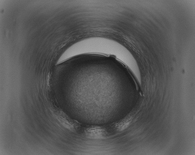 X0000082730219200702091846