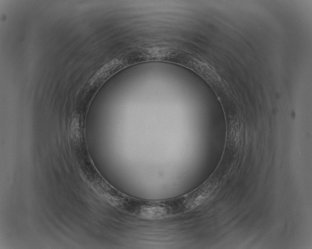 X0000082730220200702091846