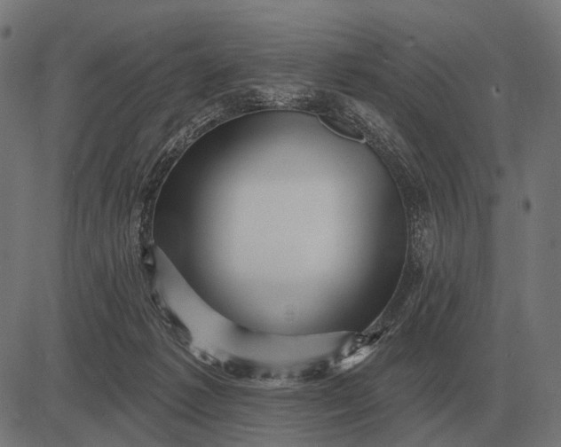 X0000082730221200702091846