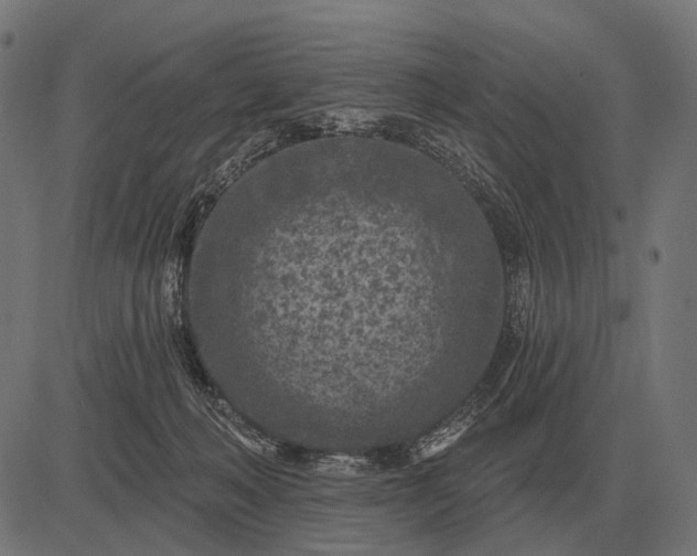 X0000082730222200702091846