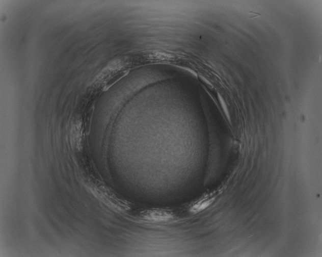 X0000082730223200702091846