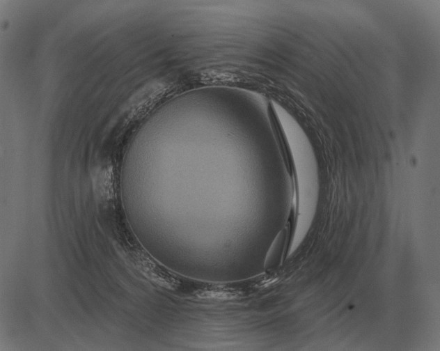 X0000082730224200702091846