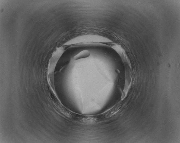 X0000082730225200702091846