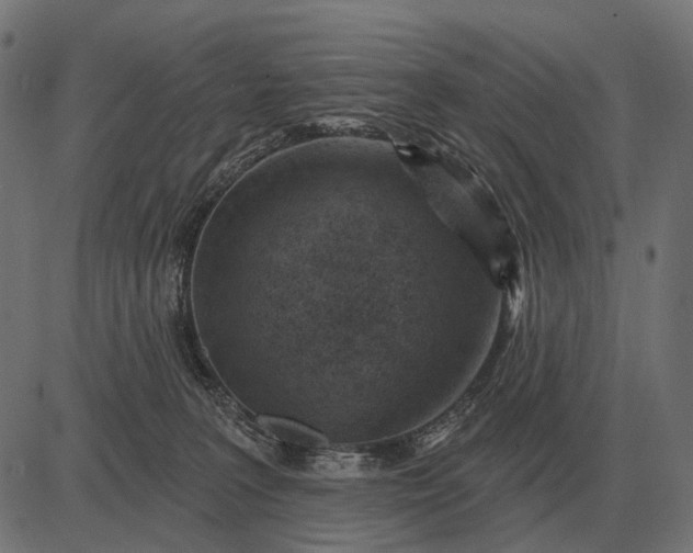 X0000082730227200702091845