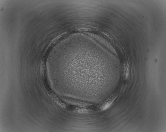 X0000082730228200702091845