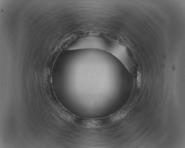 X0000082730229200702091845