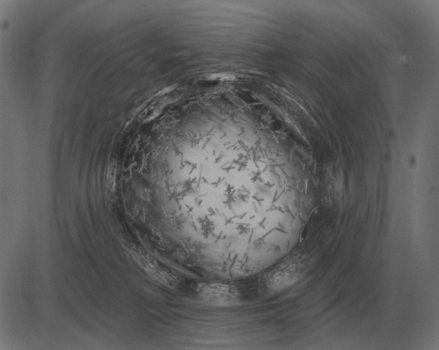 X0000082730230200702091845