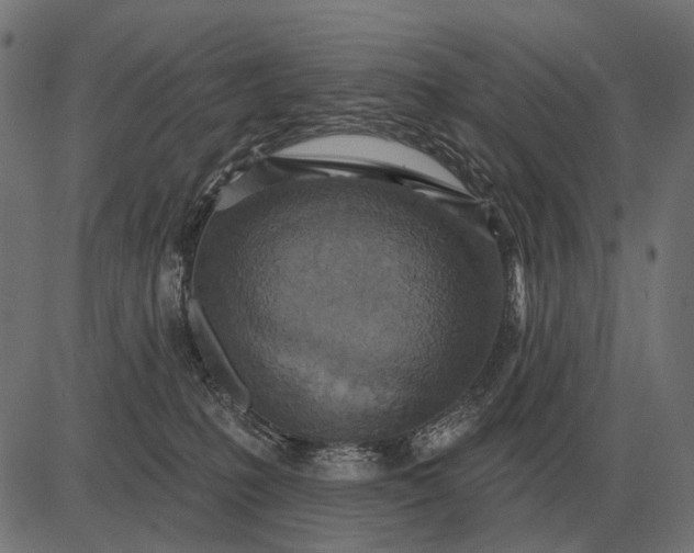 X0000082730231200702091845