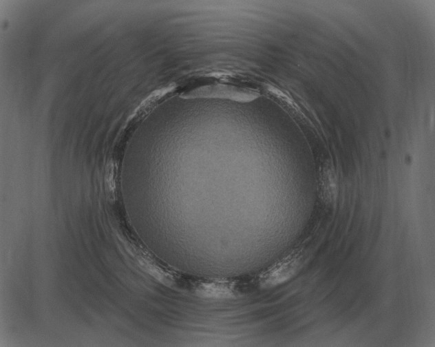 X0000082730232200702091845