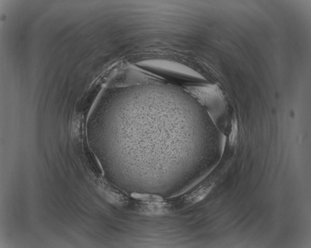 X0000082730233200702091845