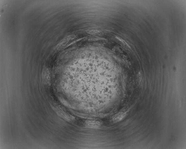 X0000082730234200702091845