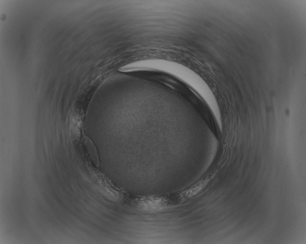 X0000082730235200702091845