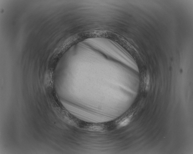 X0000082730236200702091845