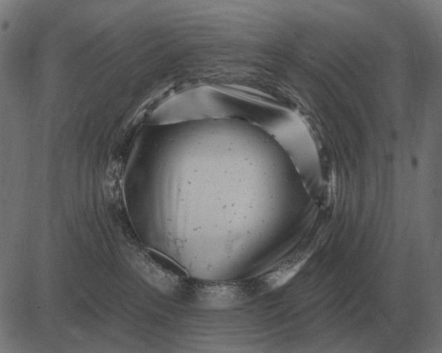 X0000082730237200702091845