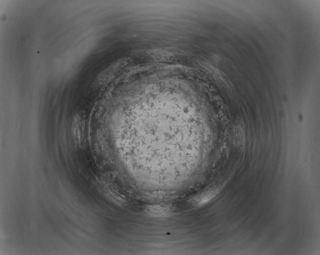 X0000082730238200702091845