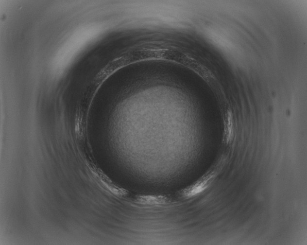 X0000082730239200702091845