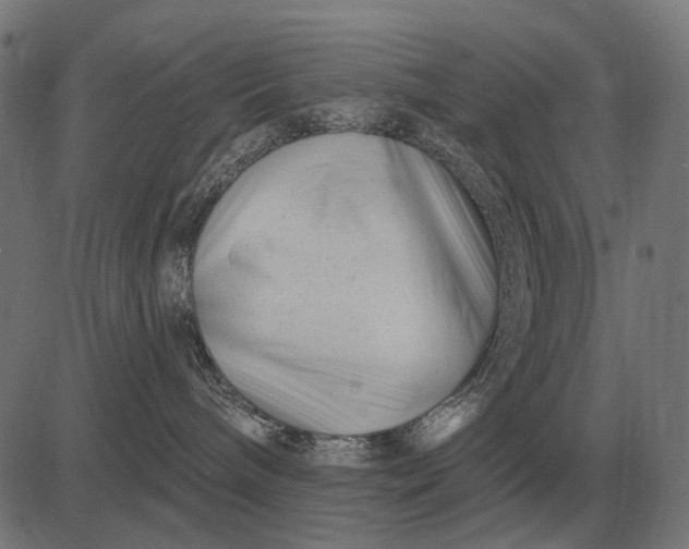 X0000082730240200702091845