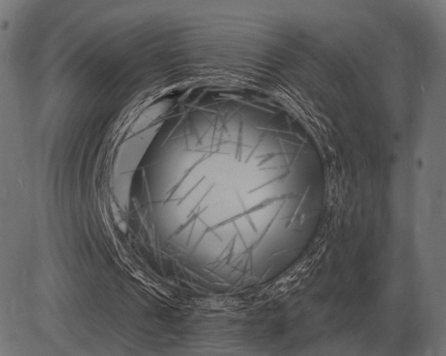 X0000082730241200702091844