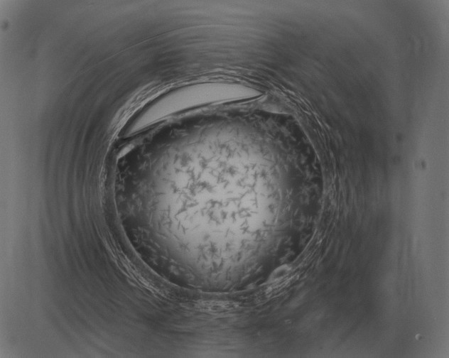 X0000082730242200702091844