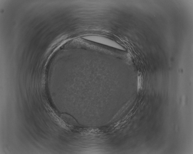 X0000082730243200702091845