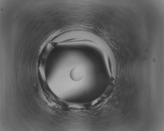 X0000082730244200702091845