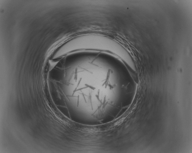 X0000082730245200702091845