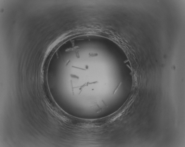 X0000082730246200702091845