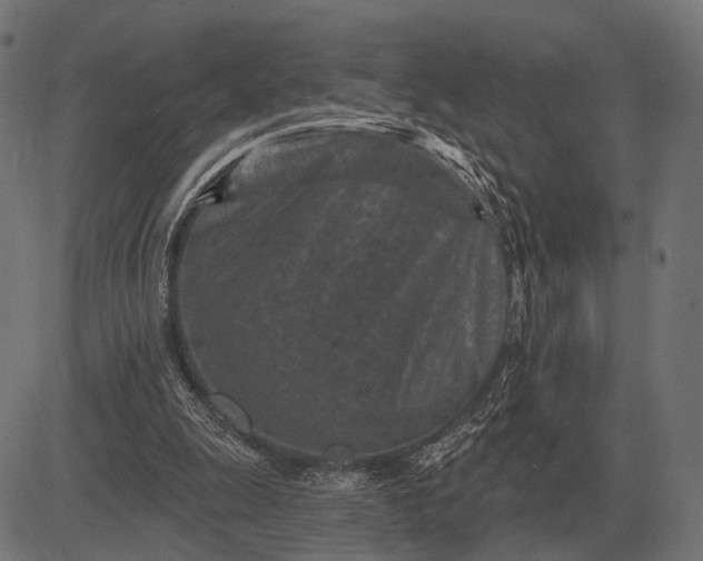 X0000082730247200702091845